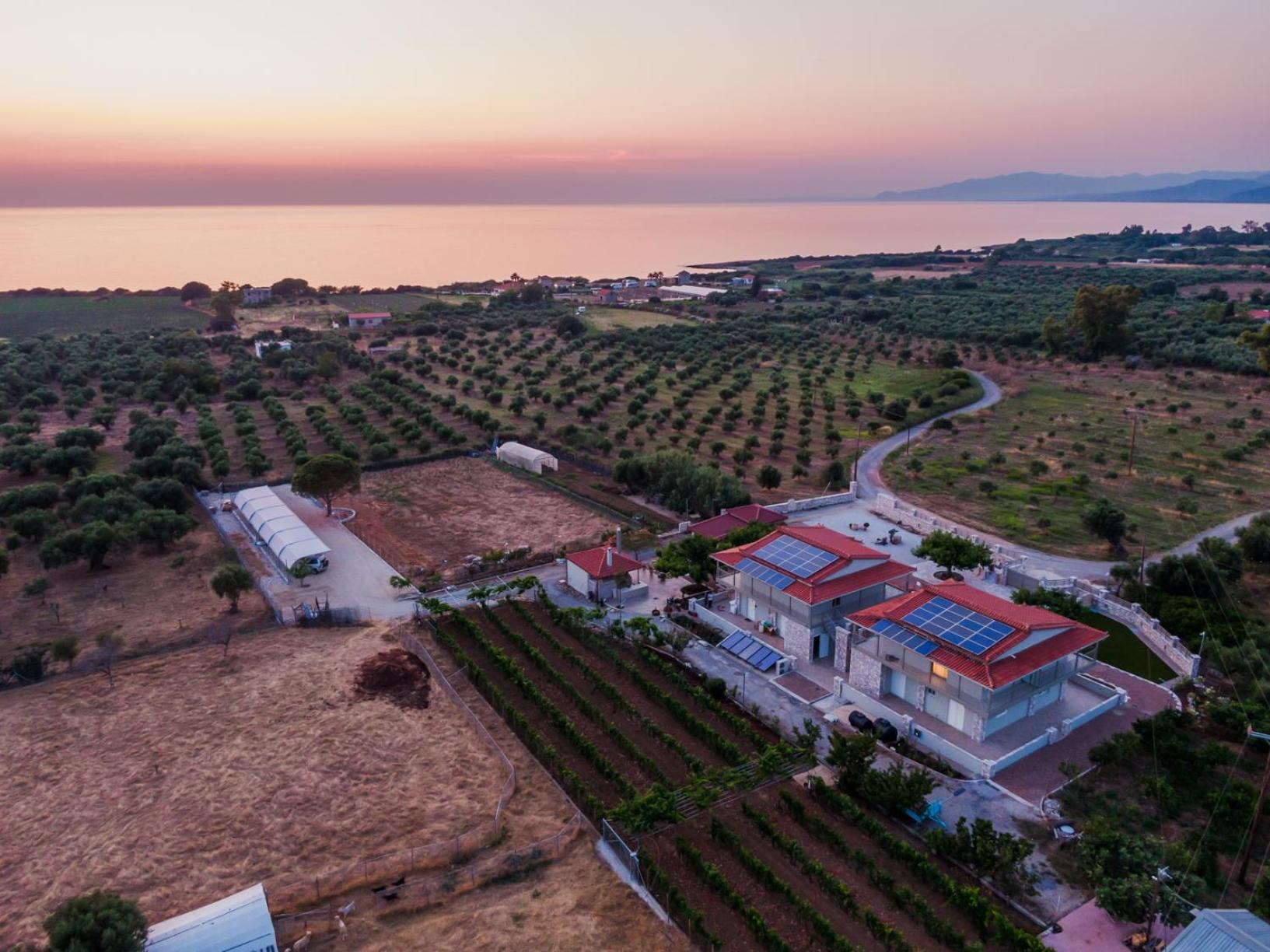 Terra Helios Suites & Studios Кипарисия Экстерьер фото